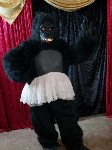 gorilla